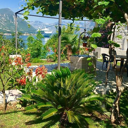 Studio Apartment Todorovic Kotor Dış mekan fotoğraf