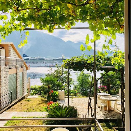 Studio Apartment Todorovic Kotor Dış mekan fotoğraf