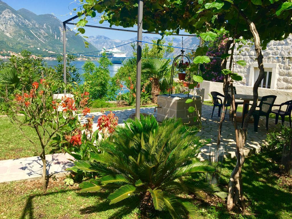 Studio Apartment Todorovic Kotor Dış mekan fotoğraf
