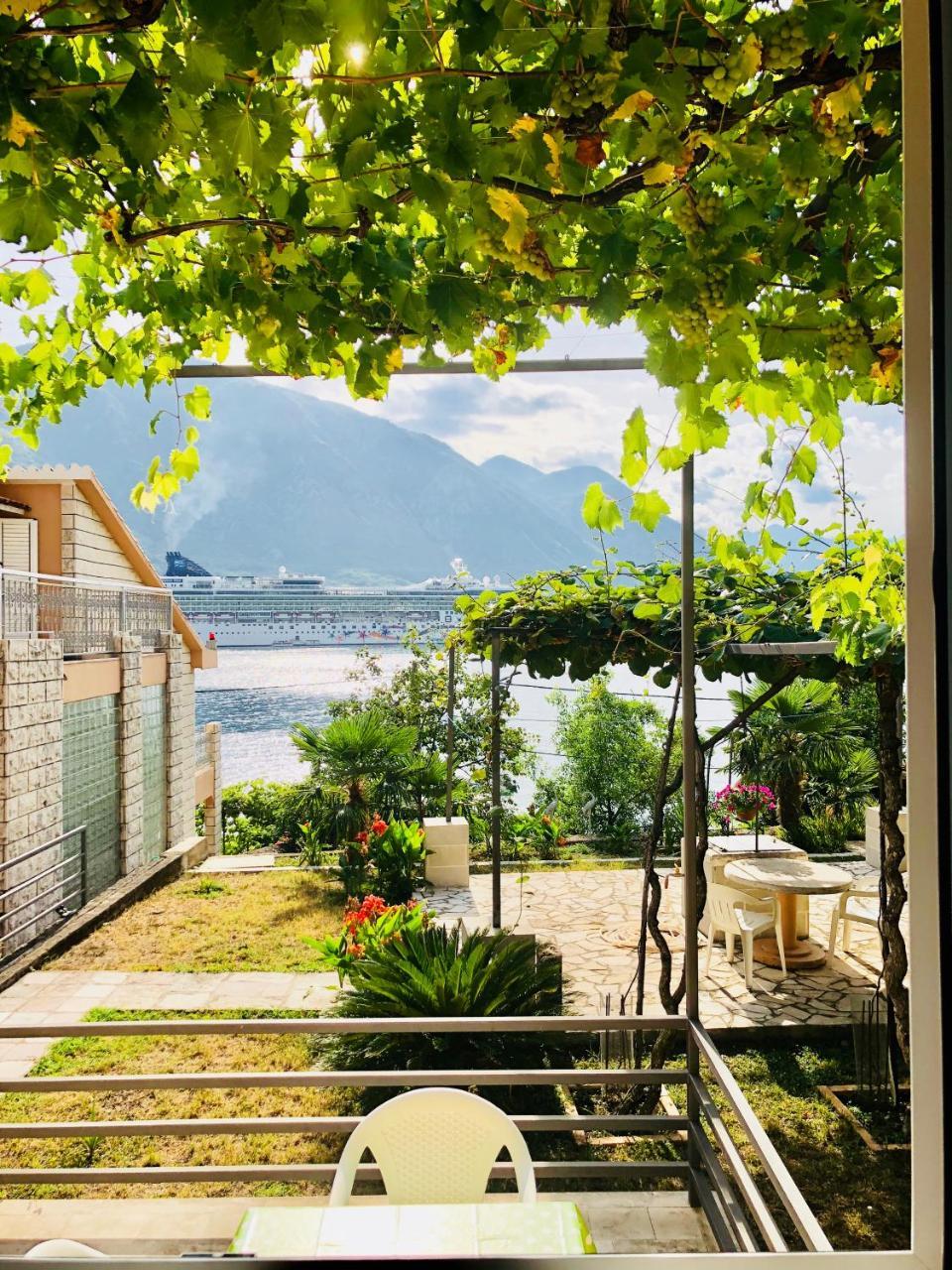 Studio Apartment Todorovic Kotor Dış mekan fotoğraf
