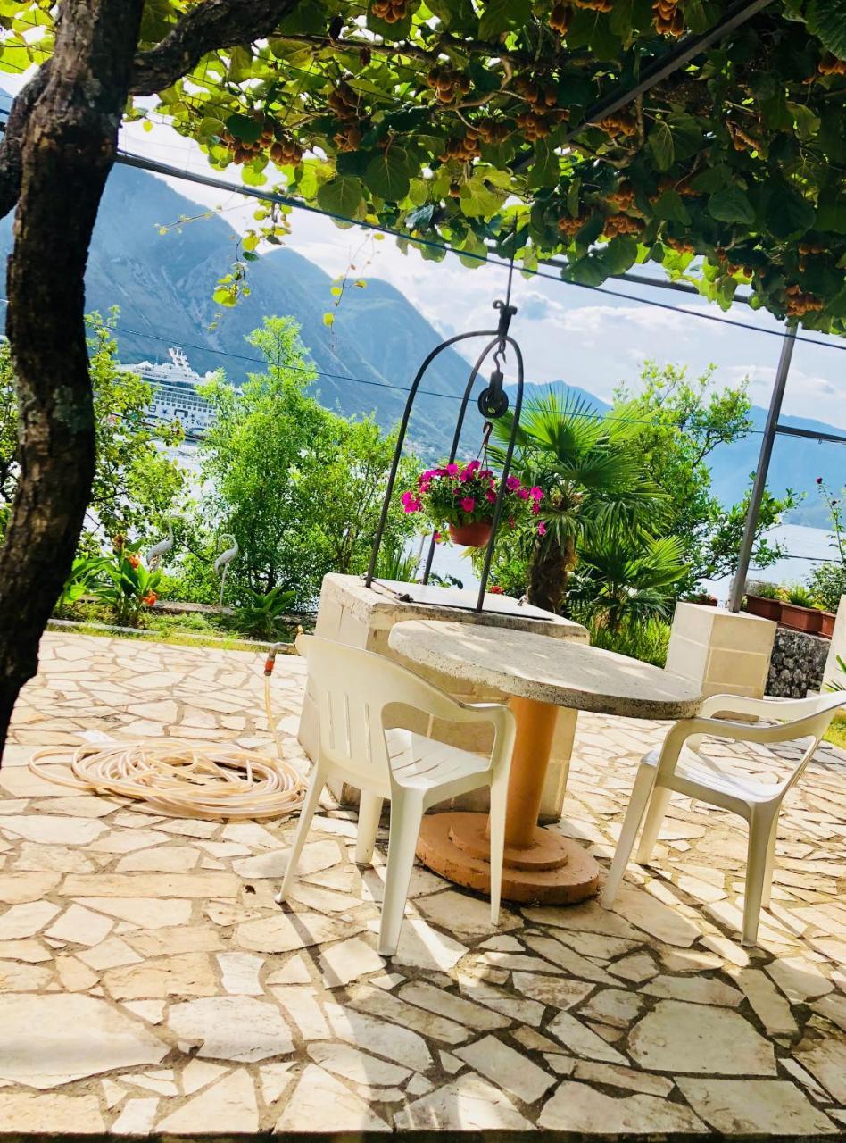 Studio Apartment Todorovic Kotor Dış mekan fotoğraf