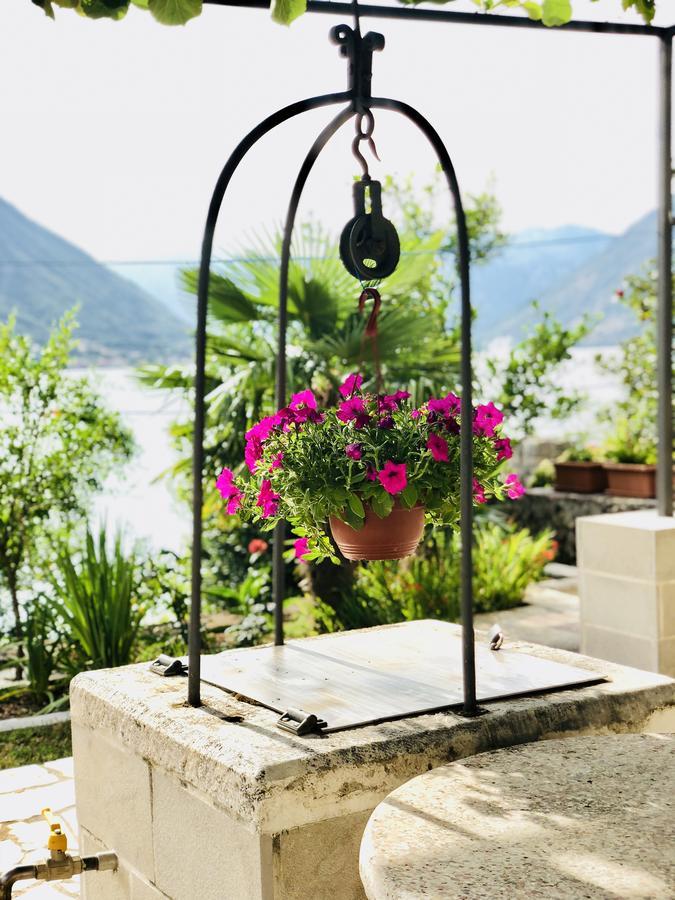 Studio Apartment Todorovic Kotor Dış mekan fotoğraf